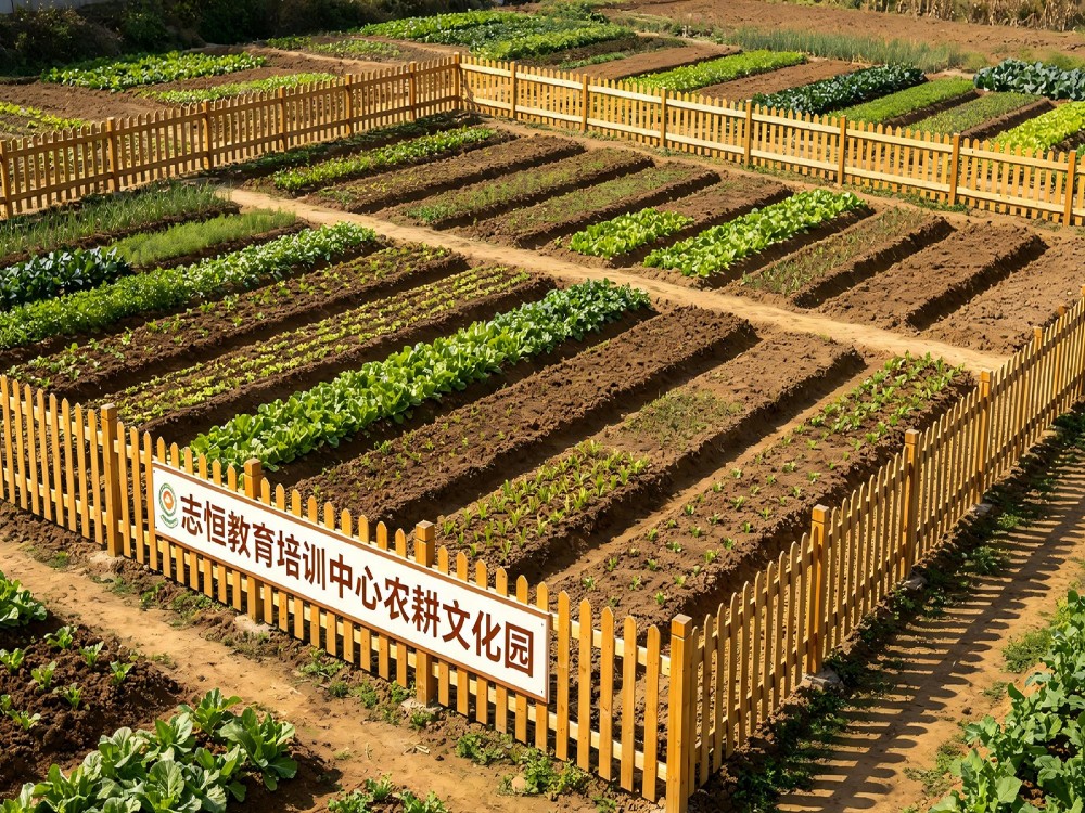揭阳可靠的叛逆孩子全封闭管教学校业内推荐